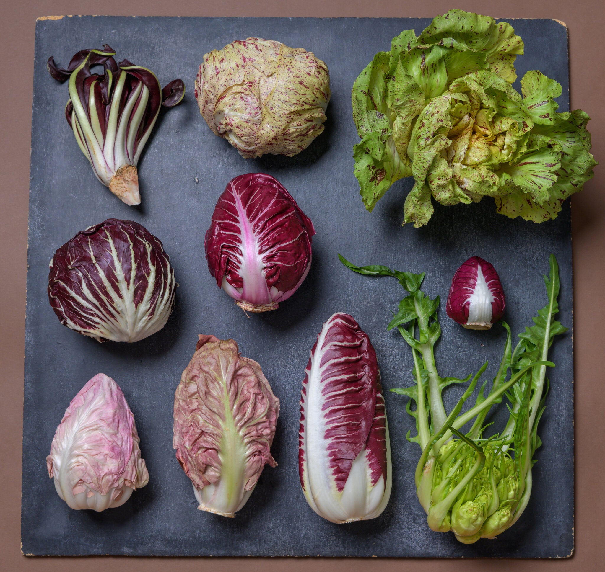 Radicchio