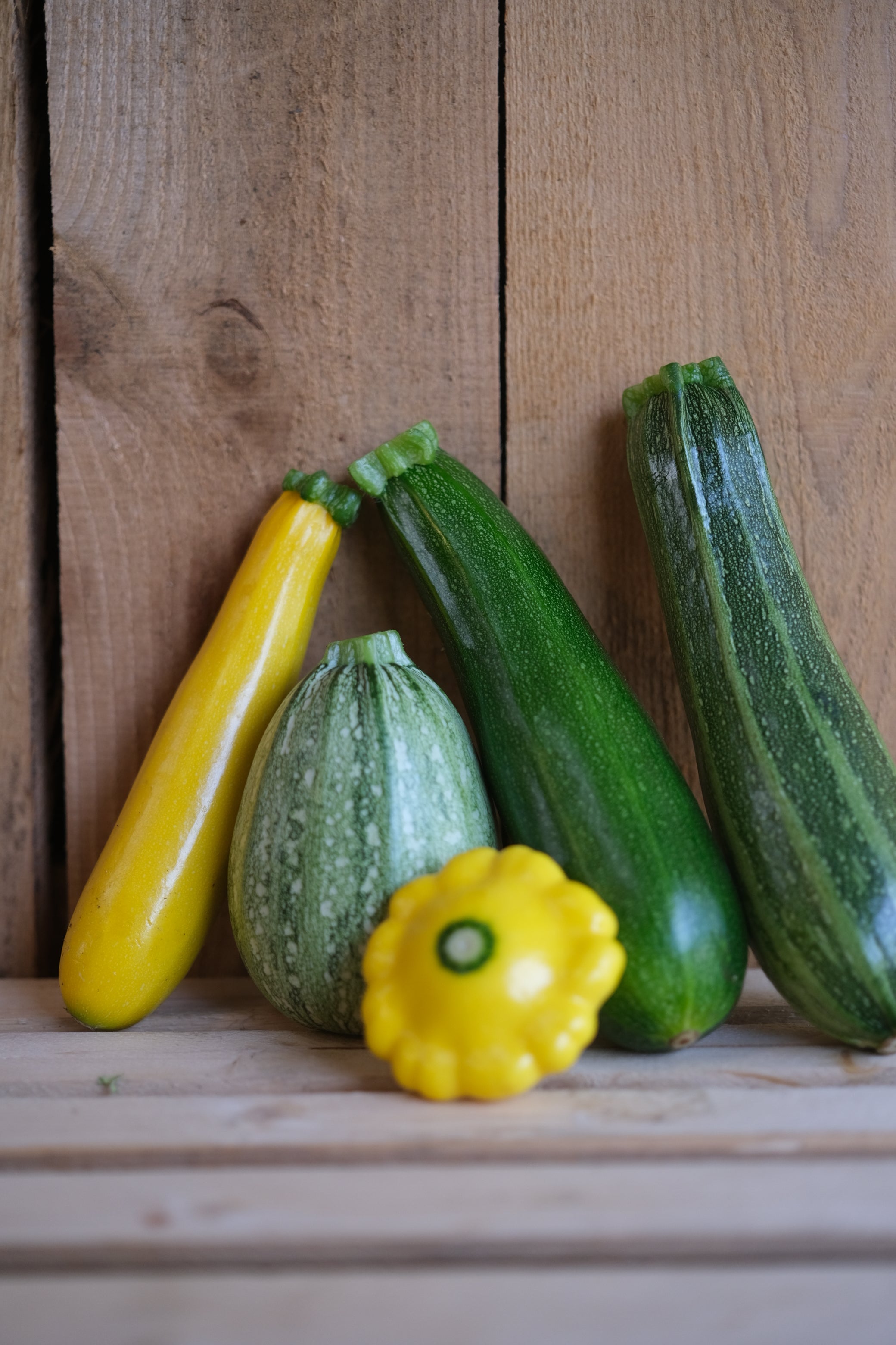 Zucchini