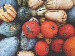 Courge