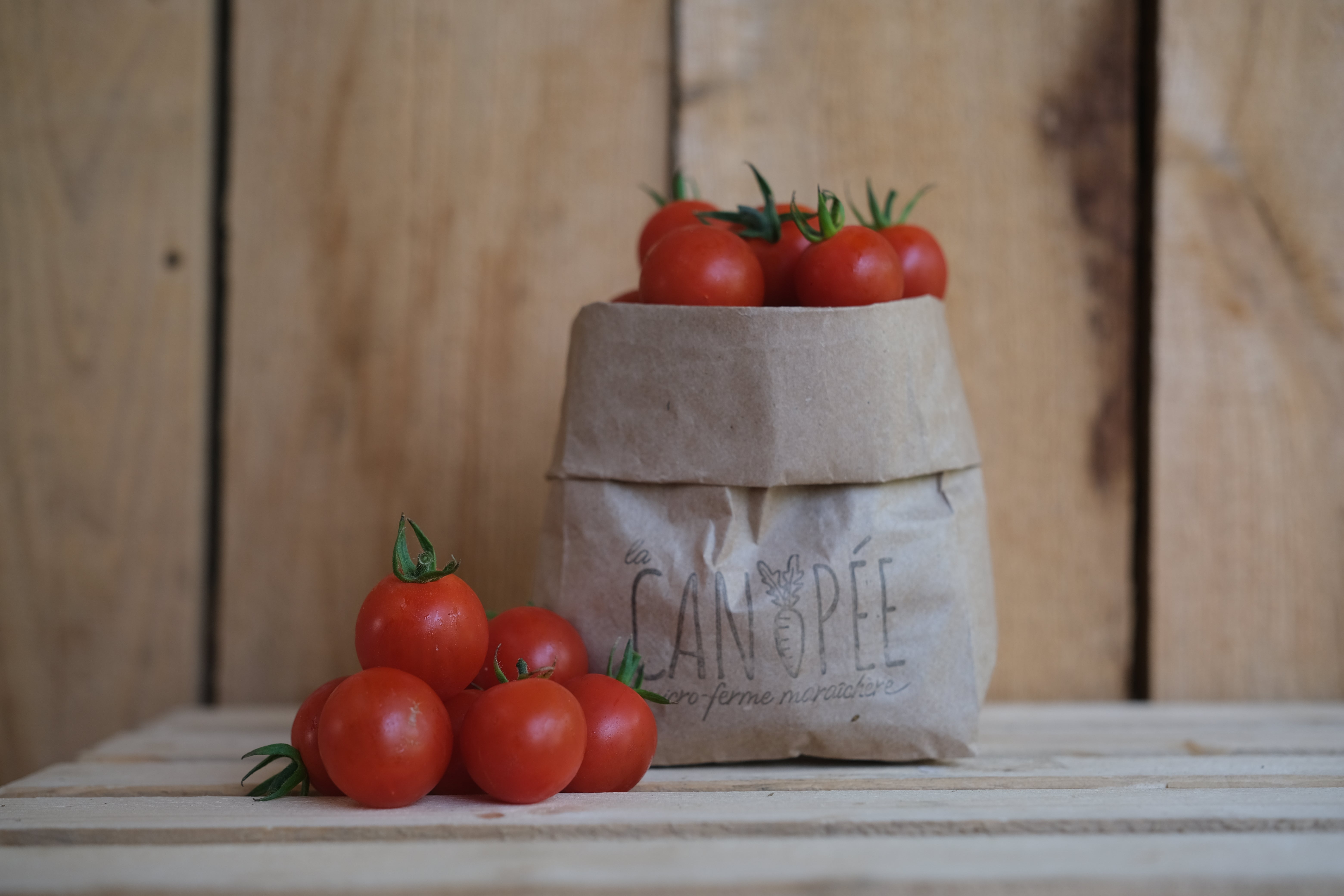 Tomates cerises